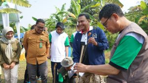 Hadapi krisis iklim, KAHMI-FORHATI luncurkan gerakan menanam sejuta pohon